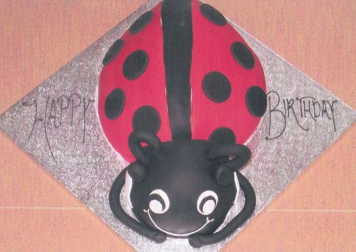 Click Here To Enlarge This Photo Of Lazy Ladybird