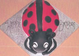 Lazy Ladybird