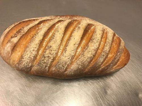 Click Here To Enlarge This Photo Of White Bloomer