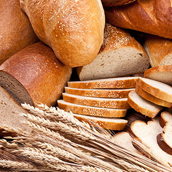 Fresh <br />Breads